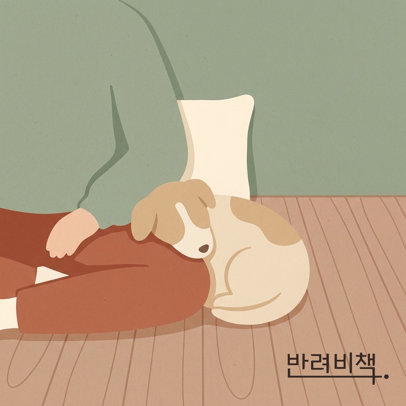 반려비책 브랜드 철학 담백함 dog resting