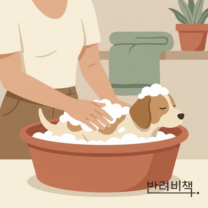 강아지 순한 거품 목욕 예민한 피부 gentle lather sensitive skin dog bath