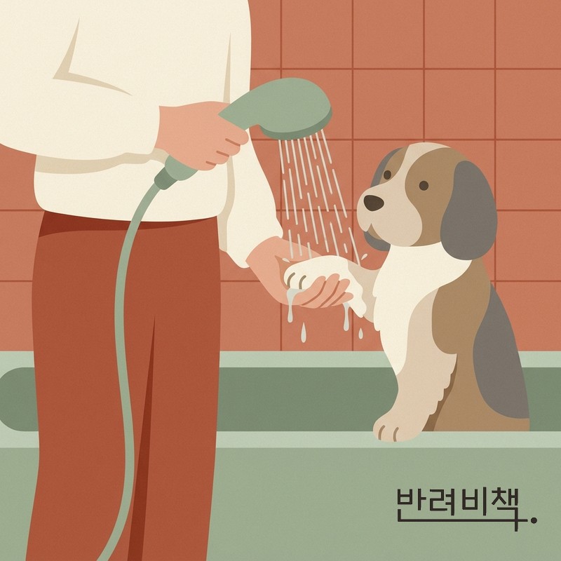 강아지 목욕 헹굼 발 세정 dog rinse paw wash