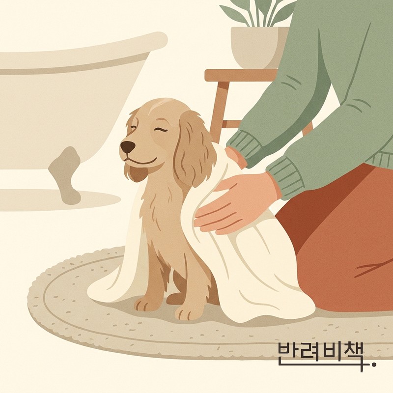 강아지 목욕 후 건조 각질 관리 dog drying after bath